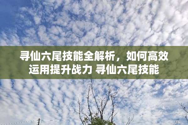 寻仙六尾技能全解析，如何高效运用提升战力 寻仙六尾技能