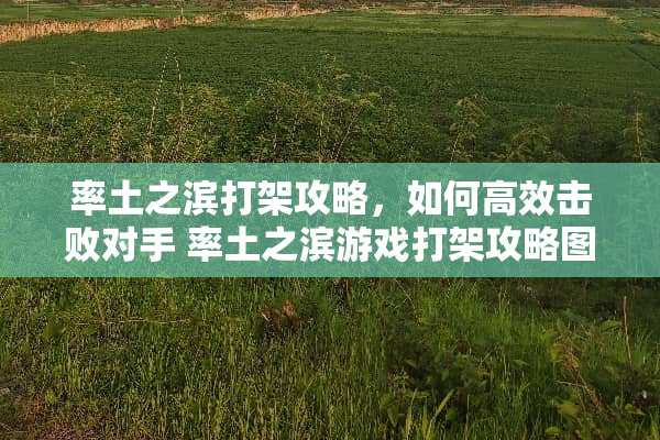 率土之滨打架攻略，如何高效击败对手 率土之滨游戏打架攻略图