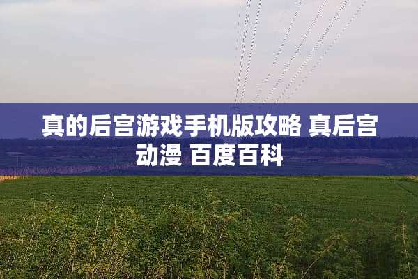 真的后宫游戏手机版攻略 真后宫动漫 百度百科