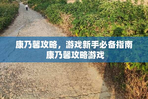 康乃馨攻略，游戏新手必备指南 康乃馨攻略游戏