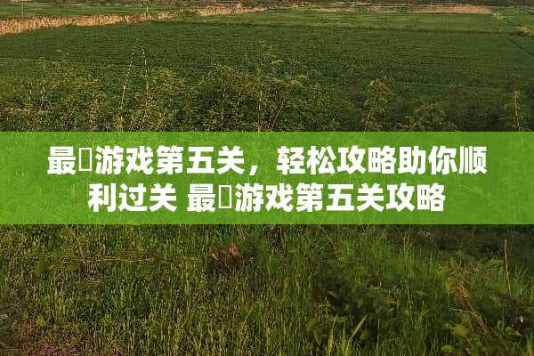 最囧游戏第五关，轻松攻略助你顺利过关 最囧游戏第五关攻略