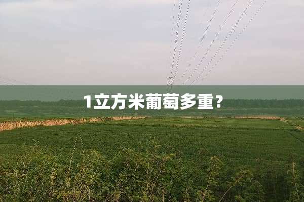 1立方米葡萄多重？