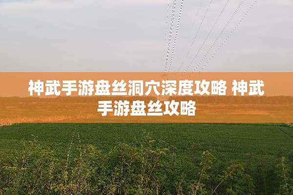 神武手游盘丝洞*深度攻略 神武手游盘丝攻略