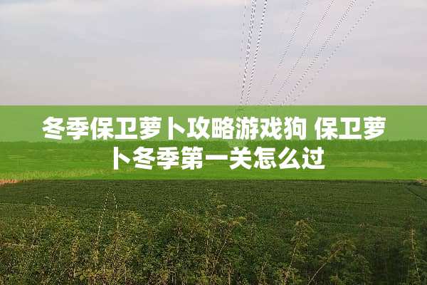 冬季保卫萝卜攻略游戏狗 保卫萝卜冬季第一关怎么过