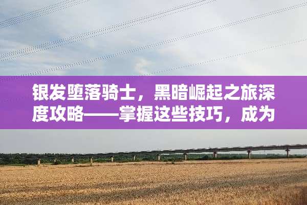 银发**骑士，黑暗崛起之旅深度攻略——掌握这些技巧，成为最强战士！ 银发**骑士游戏攻略