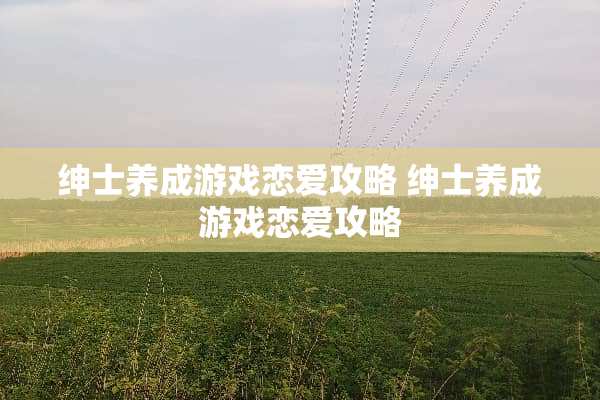 绅士养成游戏恋爱攻略 绅士养成游戏恋爱攻略