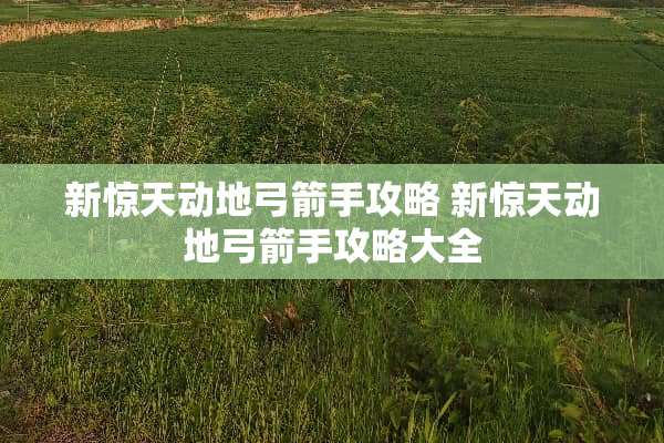 新惊天动地弓箭手攻略 新惊天动地弓箭手攻略大全