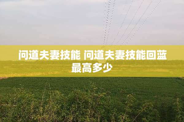 问道夫妻技能 问道夫妻技能回蓝最高多少