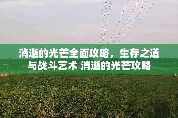 消逝的光芒全面攻略，生存之道与战斗艺术 消逝的光芒攻略