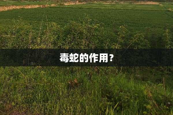 毒蛇的作用？