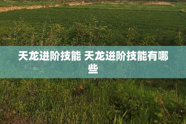 天龙进阶技能 天龙进阶技能有哪些