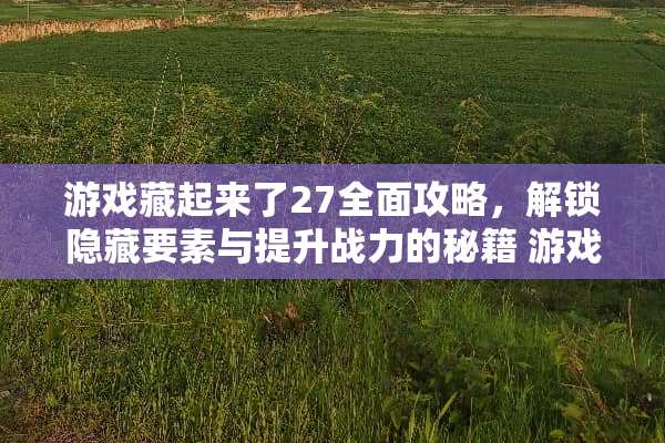 游戏藏起来了27全面攻略，解锁隐藏要素与提升战力的秘籍 游戏藏起来了27攻略