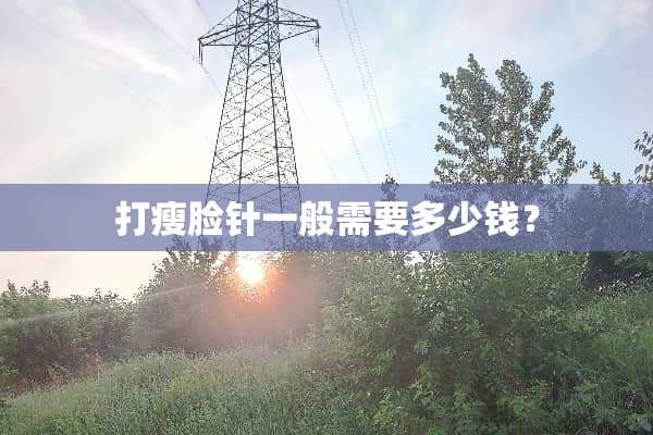 打瘦脸针一般需要多少钱？