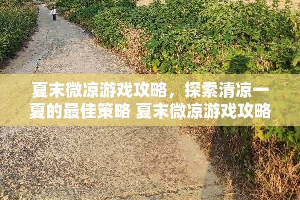 夏末微凉游戏攻略，探索清凉一夏的最佳策略 夏末微凉游戏攻略