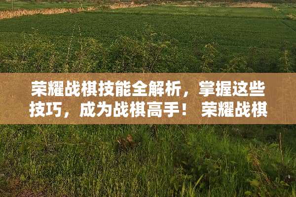 荣耀战棋技能全解析，掌握这些技巧，成为战棋高手！ 荣耀战棋技能