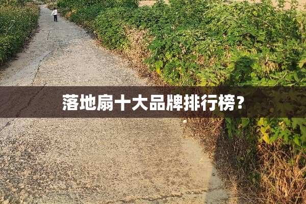落地扇十大品牌排行榜？