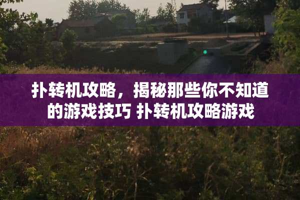 扑转机攻略，揭秘那些你不知道的游戏技巧 扑转机攻略游戏