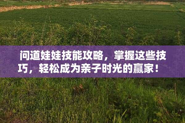 问道娃娃技能攻略，掌握这些技巧，轻松成为亲子时光的**！ 问道娃娃技能