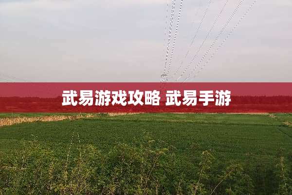 武易游戏攻略 武易手游