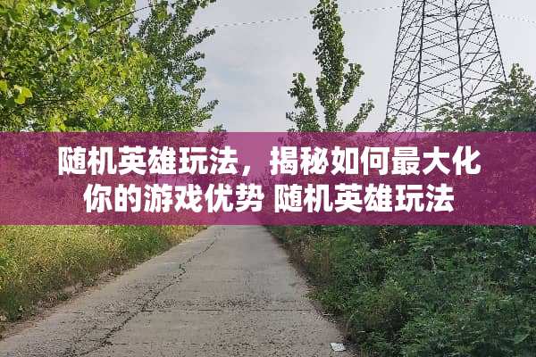 随机英雄玩法，揭秘如何最大化你的游戏优势 随机英雄玩法