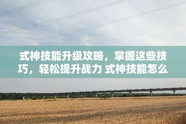 式神技能升级攻略，掌握这些技巧，轻松提升战力 式神技能怎么升级