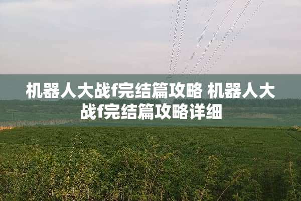 机器**战f完结篇攻略 机器**战f完结篇攻略详细