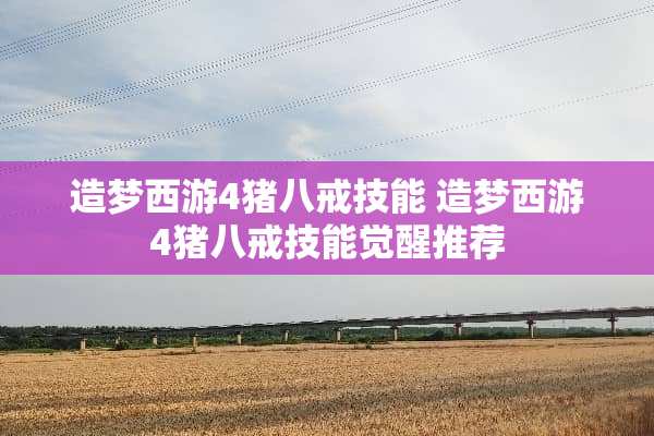 造梦西游4猪八戒技能 造梦西游4猪八戒技能觉醒推荐