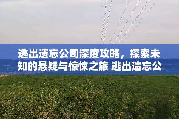 逃出遗忘公司深度攻略，探索未知的悬疑与惊悚之旅 逃出遗忘公司游戏攻略