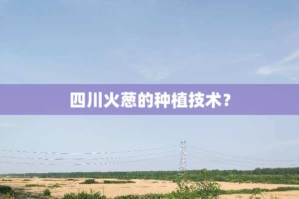 四川火葱的种植技术？