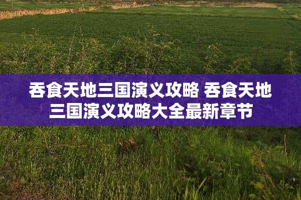 吞食天地三国演义攻略 吞食天地三国演义攻略大全最新章节
