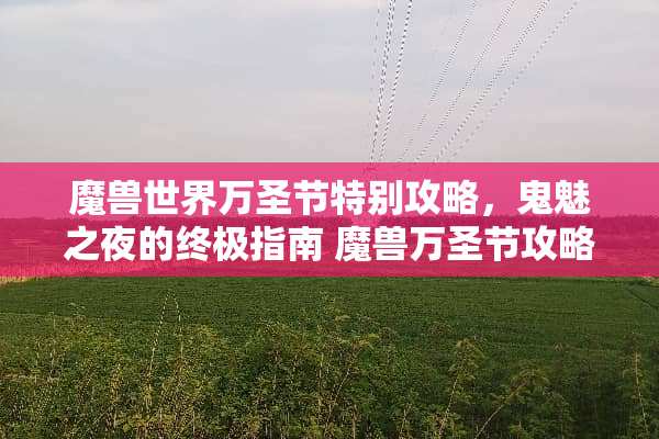 魔兽世界万圣节特别攻略，鬼魅之夜的终极指南 魔兽万圣节攻略