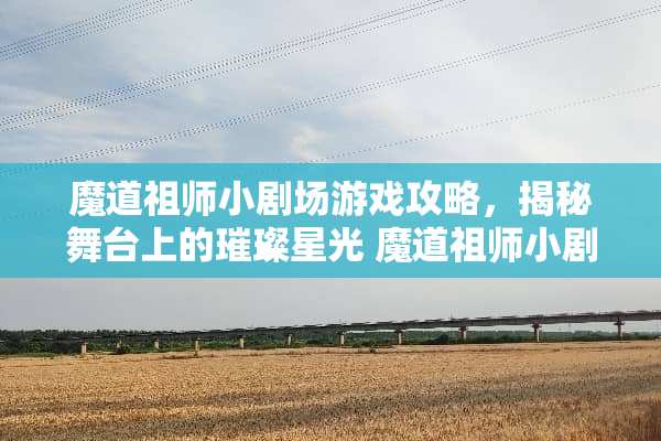 魔道祖师小剧场游戏攻略，揭秘舞台上的璀璨星光 魔道祖师小剧场游戏攻略