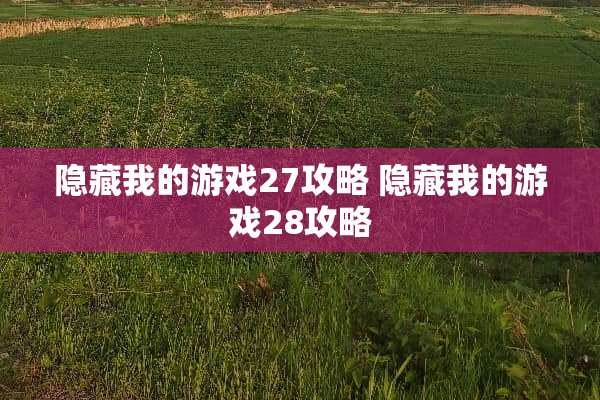 隐藏我的游戏27攻略 隐藏我的游戏28攻略