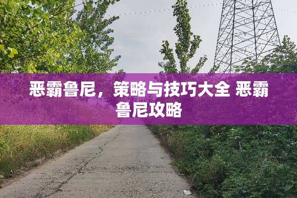 恶霸鲁尼，策略与技巧大全 恶霸鲁尼攻略