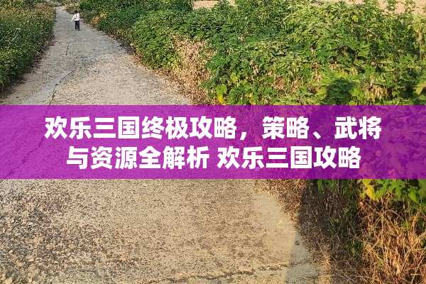 欢乐三国终极攻略，策略、武将与资源全解析 欢乐三国攻略