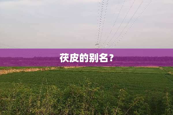 茯皮的别名？