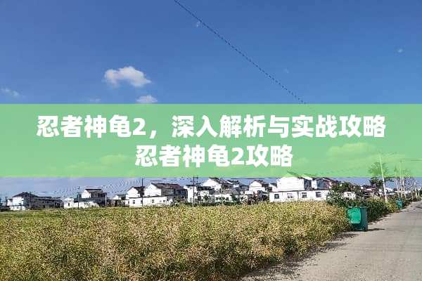 忍者神龟2，深入解析与实战攻略 忍者神龟2攻略