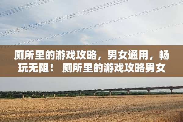 厕所里的游戏攻略，男女通用，畅玩无阻！ 厕所里的游戏攻略男女