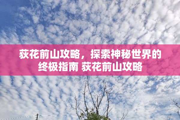 荻花前山攻略，探索神秘世界的终极指南 荻花前山攻略