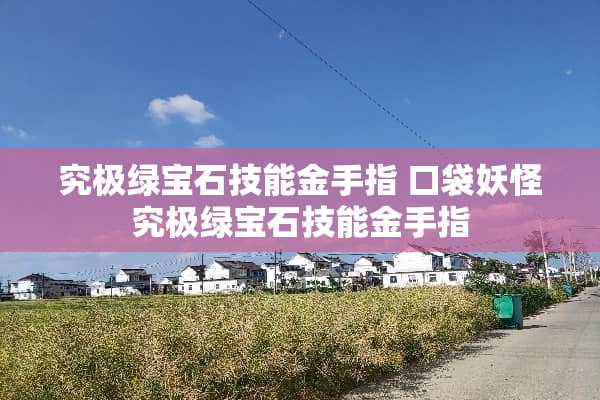 究极绿宝石技能金手指 口袋妖怪究极绿宝石技能金手指