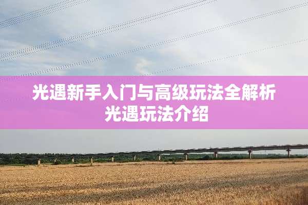 光遇新手入门与高级玩法全解析 光遇玩法介绍