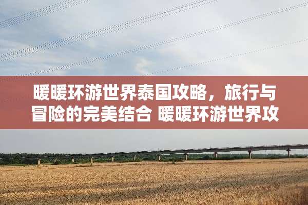 暖暖环游世界泰国攻略，旅行与冒险的完美结合 暖暖环游世界攻略泰国