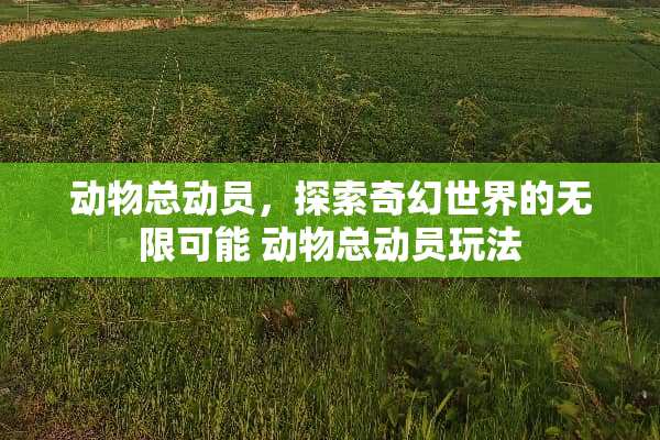 动物总动员，探索奇幻世界的无限可能 动物总动员玩法