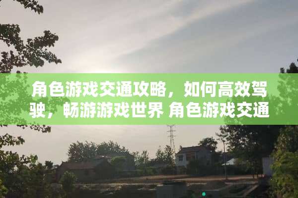 角色游戏交通攻略，如何高效驾驶，畅游游戏世界 角色游戏交通攻略