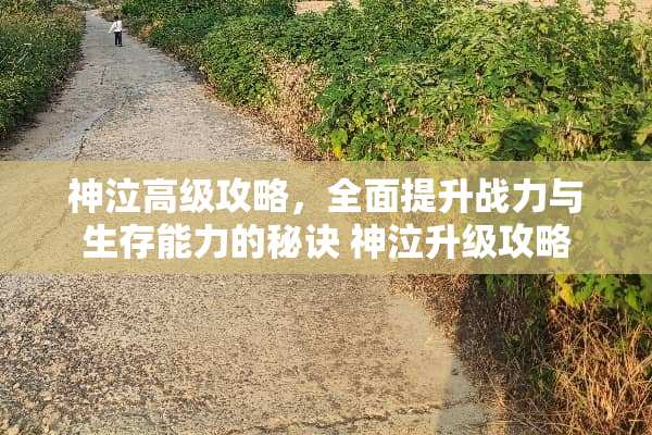 神泣高级攻略，全面提升战力与生存能力的秘诀 神泣升级攻略