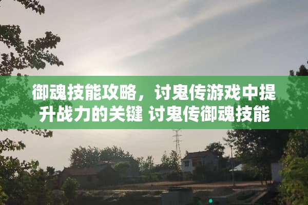 御魂技能攻略，讨鬼传游戏中提升战力的关键 讨鬼传御魂技能