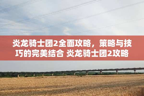 炎龙骑士团2全面攻略，策略与技巧的完美结合 炎龙骑士团2攻略