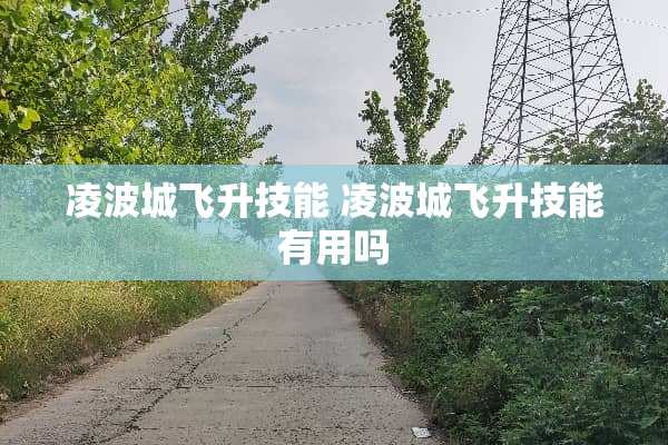 凌波城飞升技能 凌波城飞升技能有用吗