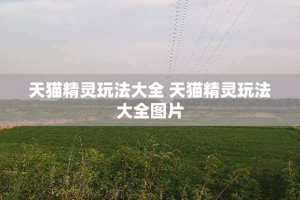 天猫精灵玩法大全 天猫精灵玩法大全图片