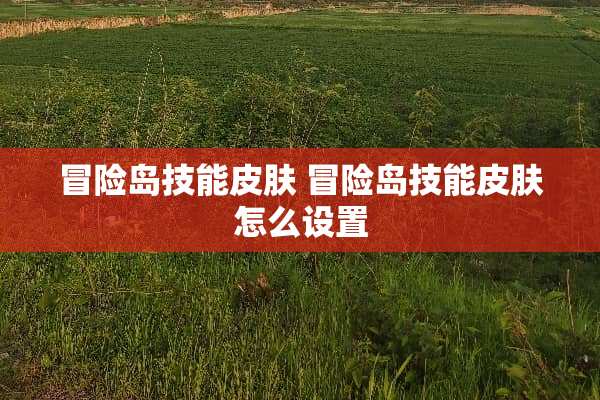 冒险岛技能皮肤 冒险岛技能皮肤怎么设置